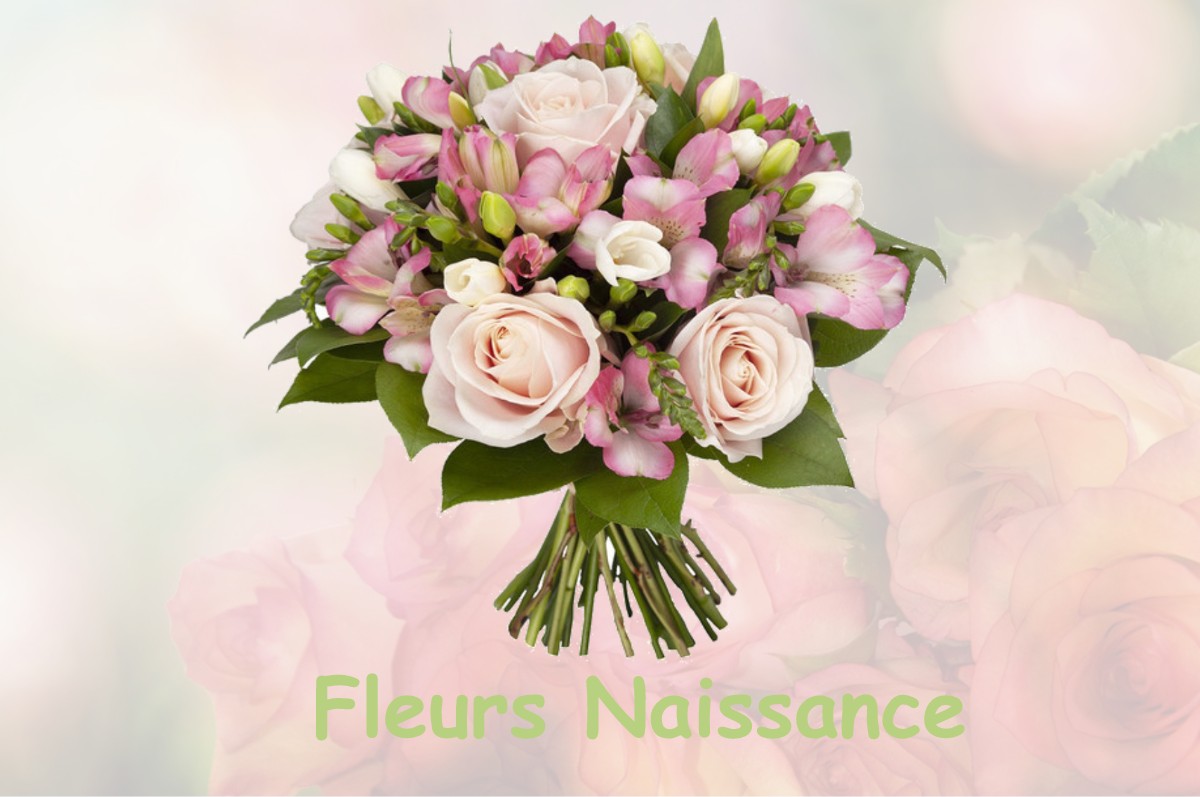 fleurs naissance MEAUX-LA-MONTAGNE