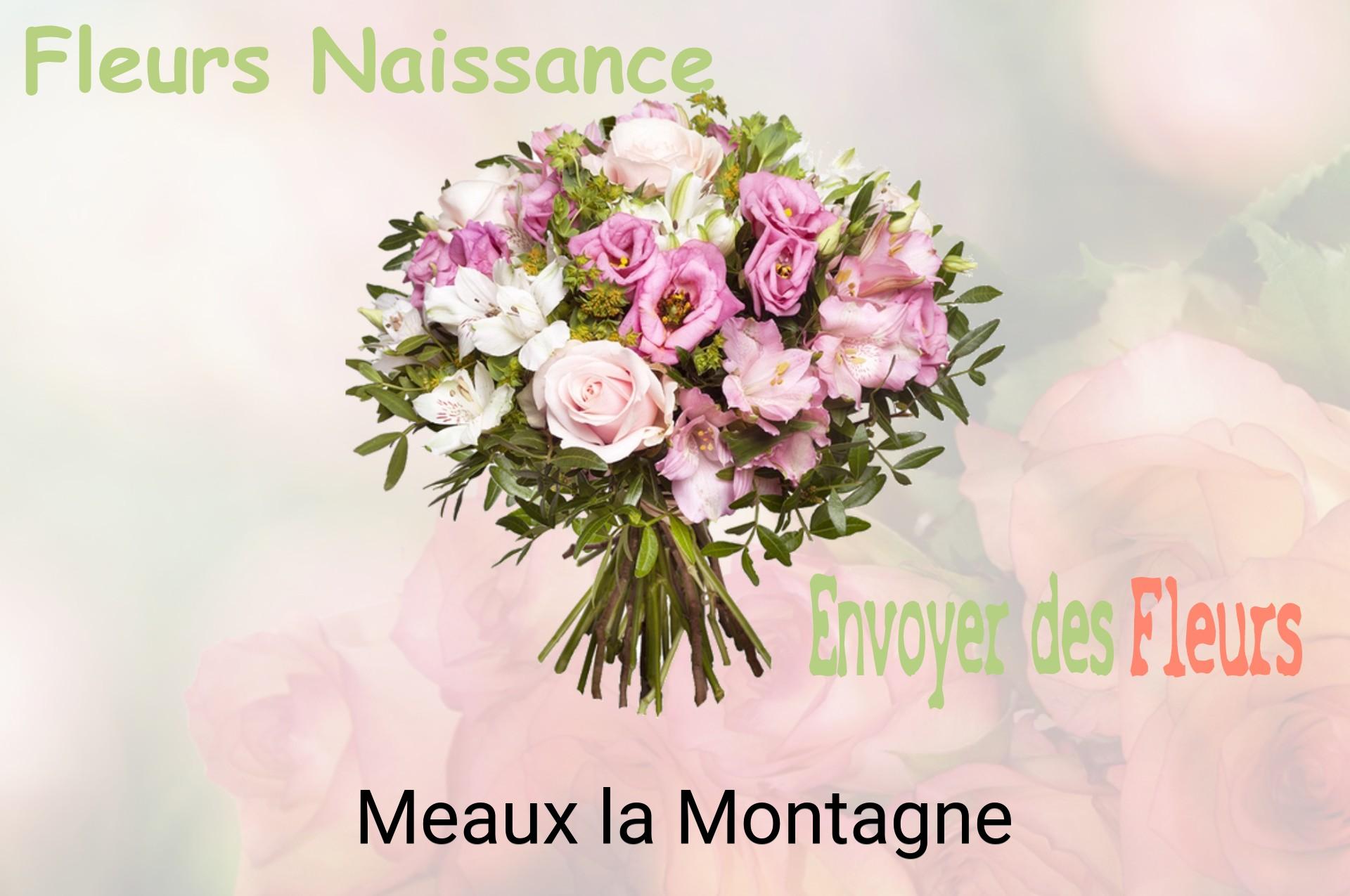 Bouquet de fleurs de naissance livré à Meaux-la-Montagne