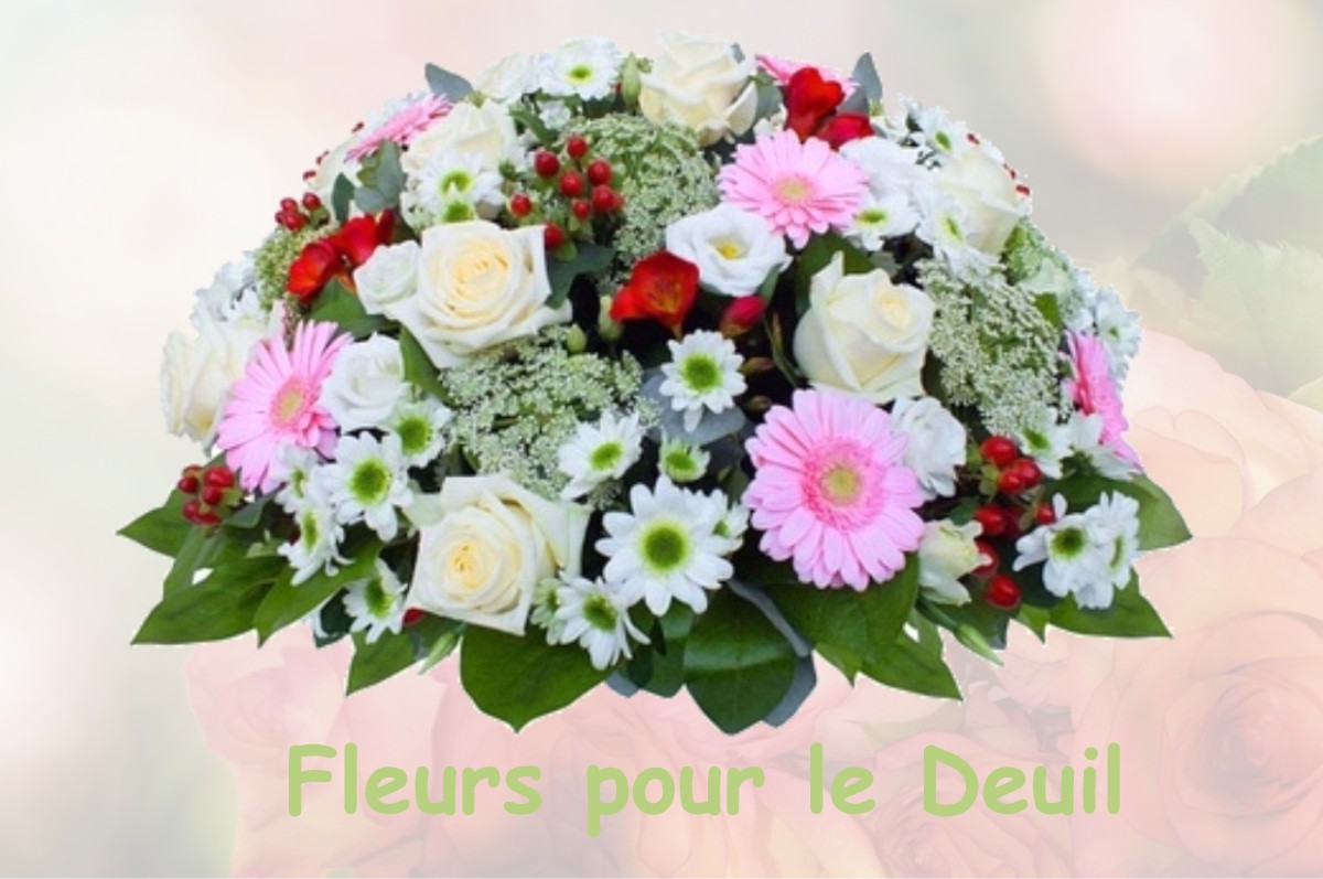 fleurs deuil MEAUX-LA-MONTAGNE