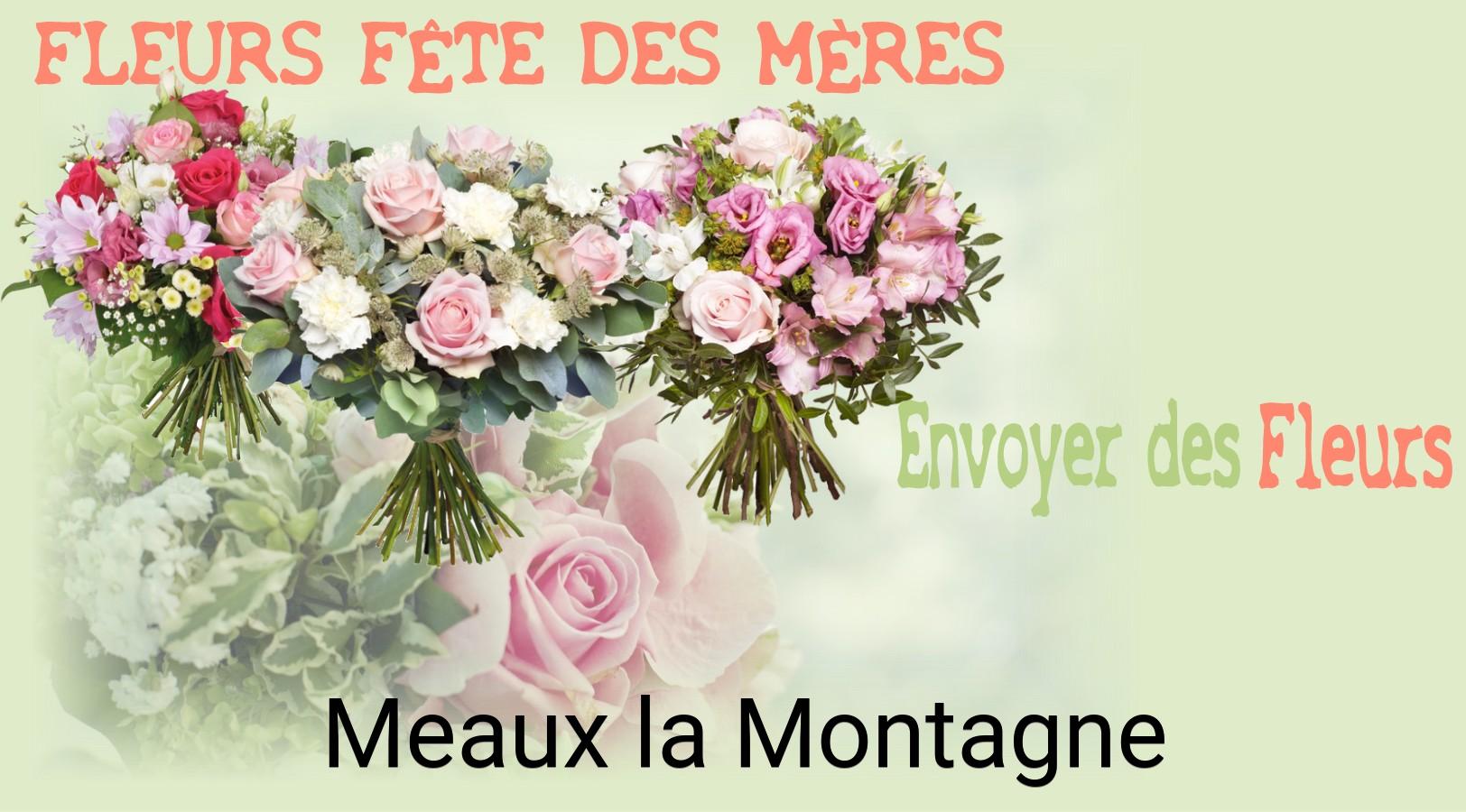 Bouquet de Fête des Mères livré à Meaux-la-Montagne